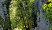 Trail Walking Les Planches-près-Arbois - Les bèlvédères de la reculée des Planches - Photo 14