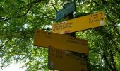 Tocht Stappen Les Planches-près-Arbois - Les bèlvédères de la reculée des Planches - Photo 11