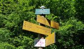 Tocht Stappen Les Planches-près-Arbois - Les bèlvédères de la reculée des Planches - Photo 7