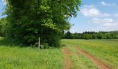 Trail Walking Les Planches-près-Arbois - Les bèlvédères de la reculée des Planches - Photo 5