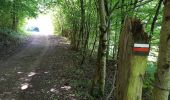 Tour Wandern Les Planches-près-Arbois - Les bèlvédères de la reculée des Planches - Photo 3