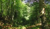 Trail Walking Compiègne - en forêt de Compiegne_14_Guet du Nid_Royallieu_la Bouverie_Marché Dupuis - Photo 13