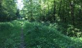 Trail Walking Compiègne - en forêt de Compiegne_14_Guet du Nid_Royallieu_la Bouverie_Marché Dupuis - Photo 1