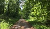 Trail Walking Compiègne - en forêt de Compiegne_14_Guet du Nid_Royallieu_la Bouverie_Marché Dupuis - Photo 11