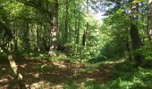 Excursión Senderismo Compiègne - en forêt de Compiegne_14_Guet du Nid_Royallieu_la Bouverie_Marché Dupuis - Photo 12