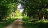 Trail Walking Compiègne - en forêt de Compiegne_14_Guet du Nid_Royallieu_la Bouverie_Marché Dupuis - Photo 20