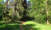 Trail Walking Compiègne - en forêt de Compiegne_14_Guet du Nid_Royallieu_la Bouverie_Marché Dupuis - Photo 7
