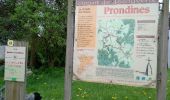 Tour Wandern Prondines - les Chapelles de Pérol et de l'Eclache - Photo 1