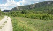 Randonnée Marche Gréoux-les-Bains - Gréoux - Le long du Verdon - Photo 2