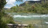 Randonnée Marche Gréoux-les-Bains - Gréoux - Le long du Verdon - Photo 4