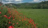 Randonnée Marche Gréoux-les-Bains - Gréoux - Le long du Verdon - Photo 5