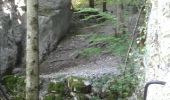 Trail Walking Mouthier-Haute-Pierre - gorges de la Nouailles, source de la loue, roche de Hautepierre par source du Pontet et grotte des Faux Monnayeurs depuis Mouthier-Hautes-Pierres - Photo 3