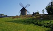 Trail Walking Dol-de-Bretagne - Dol de Bretagne - Cancale - Photo 5