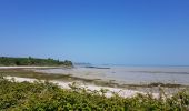 Tocht Stappen Dol-de-Bretagne - Dol de Bretagne - Cancale - Photo 2