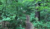 Randonnée Marche Seraing - Belle Île par les bois - Photo 12