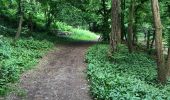 Tocht Stappen Seraing - Belle Île par les bois - Photo 7