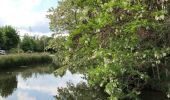 Tocht Stappen Seraing - Belle Île par les bois - Photo 2