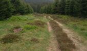 Trail Walking Houffalize - plateau de  taille  - Photo 11