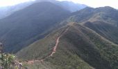 Randonnée Marche Dumbéa - Pic Malaoui depuis le Mont-Koghi - Photo 12