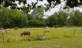 Trail Walking Mauges-sur-Loire - La Pommeraye - Photo 4