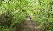 Trail Walking Buhy - Buhy/ Le Vaumion - Photo 2