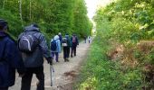 Randonnée Marche Saint-Léger-en-Yvelines - Etang Rompu 03/05/2018 - Photo 14
