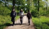 Randonnée Marche Saint-Léger-en-Yvelines - Etang Rompu 03/05/2018 - Photo 13