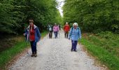 Trail Walking Saint-Léger-en-Yvelines - Etang Rompu 03/05/2018 - Photo 6