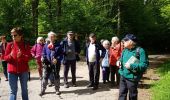 Randonnée Marche Saint-Léger-en-Yvelines - Etang Rompu 03/05/2018 - Photo 5