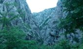 Randonnée Autre activité Jurlina - Croatie-Parc National de Plevenice - Photo 1