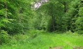 Trail Walking Lacroix-Saint-Ouen - en forêt de Compiègne_15_Basse Queue_La Croix St-Sauveur_Les Molineaux - Photo 14