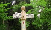 Tour Wandern Lacroix-Saint-Ouen - en forêt de Compiègne_15_Basse Queue_La Croix St-Sauveur_Les Molineaux - Photo 13