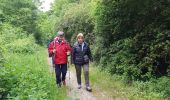 Trail Walking Élancourt - Colline de la Revanche 17/05/2018 - Photo 10