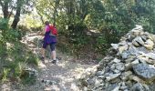 Trail Walking Nyons - NYONS (Montagne d'Essaillon) - Photo 6