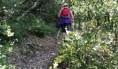 Trail Walking Nyons - NYONS (Montagne d'Essaillon) - Photo 4