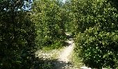 Trail Walking Nyons - NYONS (Montagne d'Essaillon) - Photo 1