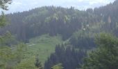 Excursión Bici de montaña Prémanon - La sambine, les charrières, La combe berthod, retour les arcets. - Photo 1