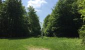 Tour Wandern Lacroix-Saint-Ouen - en forêt de Compiegne_16_Boquet Gras_Béthisy_Prés du Rosoir - Photo 9
