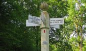 Randonnée Marche Lacroix-Saint-Ouen - en forêt de Compiegne_16_Boquet Gras_Béthisy_Prés du Rosoir - Photo 4