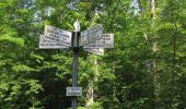 Tour Wandern Saint-Jean-aux-Bois - en forêt de Compiègne_36_Tournantes sur les Grands Monts et les Grueries - Photo 14