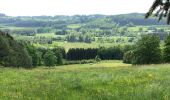 Tocht Stappen Malmedy - jolie promenade de 15 km a Ligneuville (Malmedy) - Photo 6