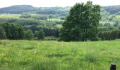 Tocht Stappen Malmedy - jolie promenade de 15 km a Ligneuville (Malmedy) - Photo 5