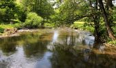 Tour Wandern Malmedy - jolie promenade de 15 km a Ligneuville (Malmedy) - Photo 4