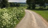 Tour Wandern Malmedy - jolie promenade de 15 km a Ligneuville (Malmedy) - Photo 1