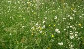 Tour Wandern Boutersem - Boutersem - Vertrijk - Photo 2