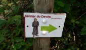 Tocht Stappen Nyons - NYONS (sentier des Oliviers) - Photo 7