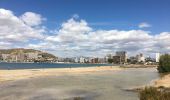 Tour Wandern Alicante - Playa de San Juan to Alicante - Photo 9