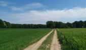 Tocht Stappen Eijsden-Margraten - magraten et sa campagne - Photo 8