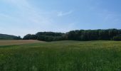 Tocht Stappen Eijsden-Margraten - magraten et sa campagne - Photo 6