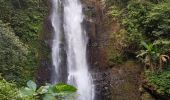 Excursión Otra actividad Unknown - Munduk entre cascades et rizières  - Photo 5